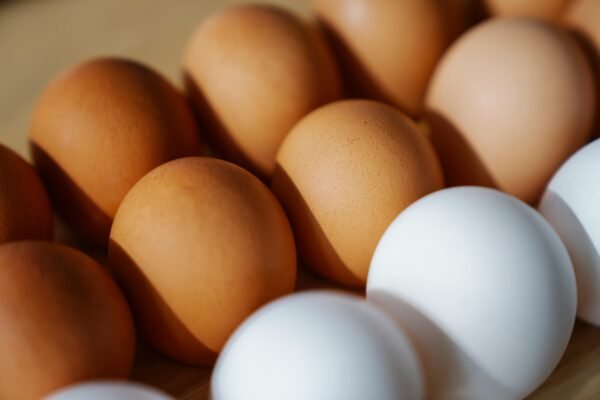 Close-up of brown and white eggs arranged on a surface, showcasing their texture and color.